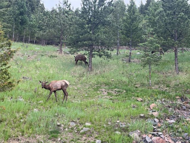 752 Ridgeside Drive, Golden, CO 80401