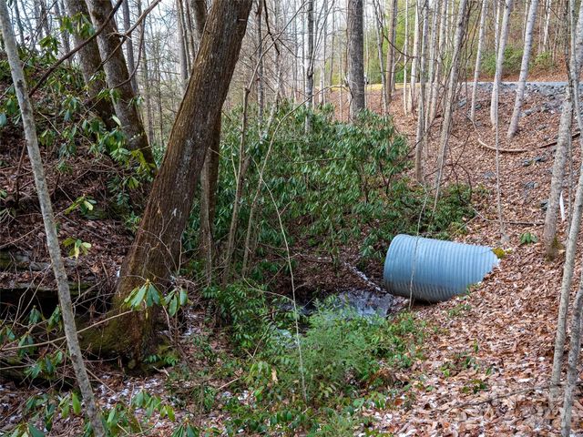 LT 617A Lost Mine Trail, Brevard, NC 28712