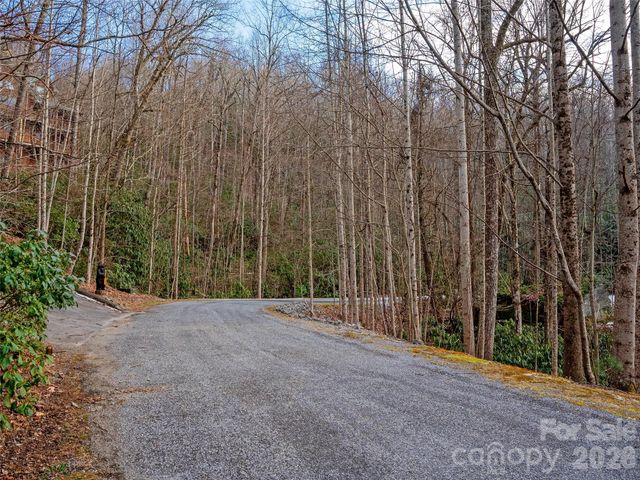 LT 617A Lost Mine Trail, Brevard, NC 28712