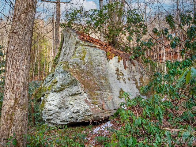 LT 617A Lost Mine Trail, Brevard, NC 28712