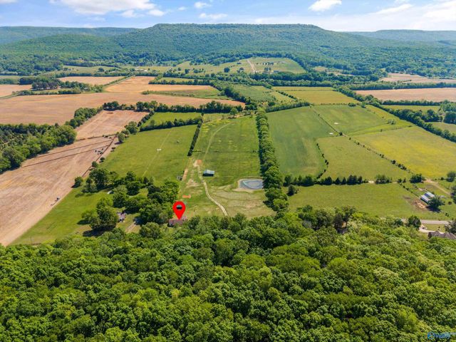 3155 Hurricane Road, New Market, AL 35761