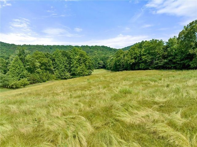 00 Partin Road, Cleveland, GA 30528