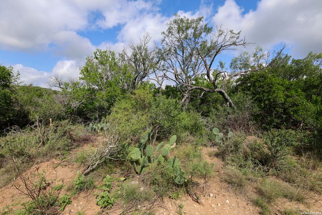 8711 County Road 1301, Moore, TX 78057