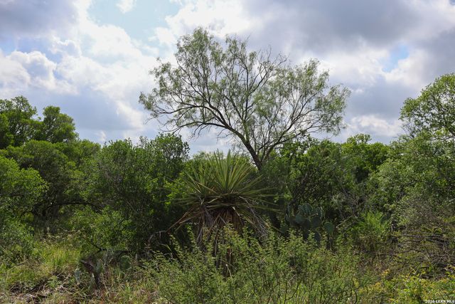 8711 County Road 1301, Moore, TX 78057