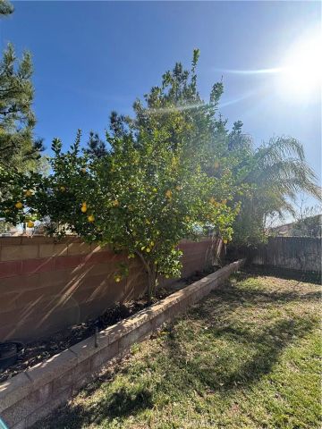 1064 Queen Annes Lane, Beaumont, CA 92223