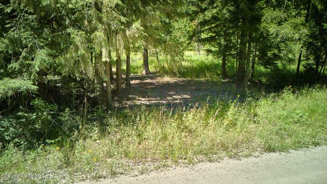 NKA Cedar Springs Rd, Sandpoint, ID 83864