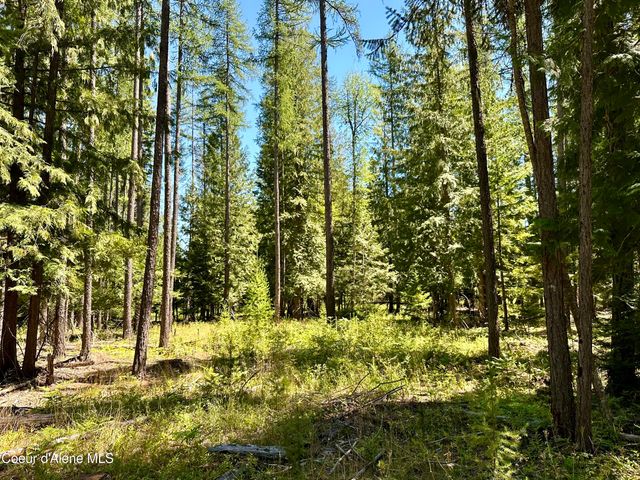 NKA Cedar Springs Rd, Sandpoint, ID 83864