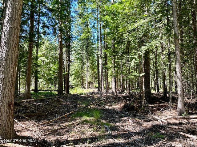 NKA Cedar Springs Rd, Sandpoint, ID 83864