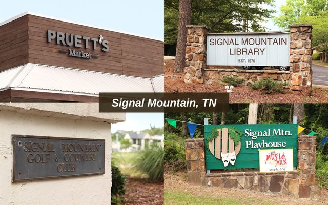 403 Dunsinane Road, Signal Mountain, TN 37377