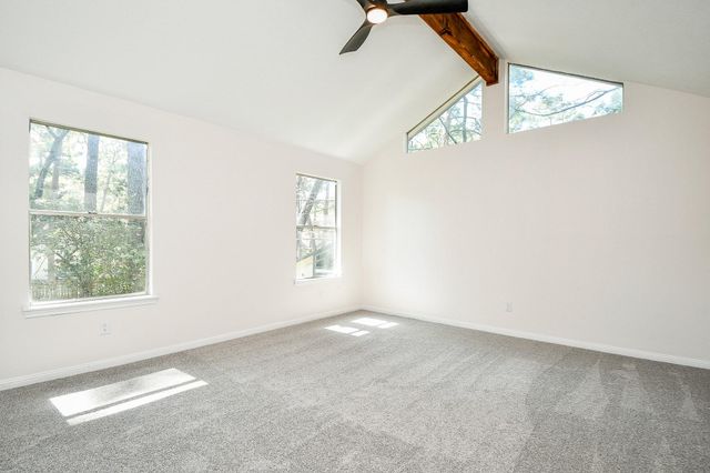 21 Edgewood Forest Ct, The Woodlands, TX 77381