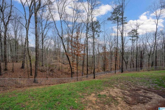 1160 ROCK RIDGE ROAD, Pell City, AL 35128