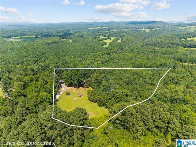 135 BLUFF LANE, Locust Fork, AL 35097