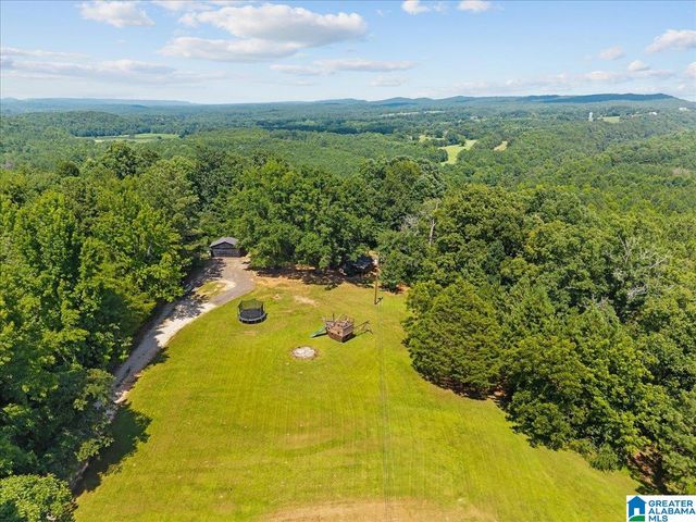 135 BLUFF LANE, Locust Fork, AL 35097