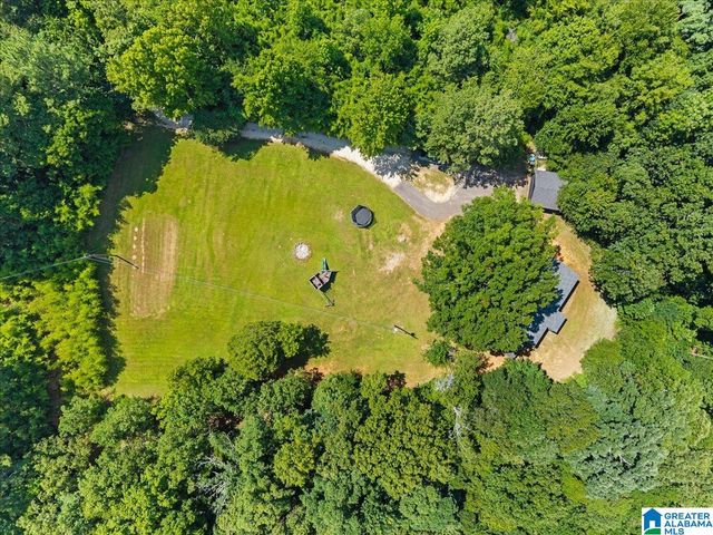 135 BLUFF LANE, Locust Fork, AL 35097