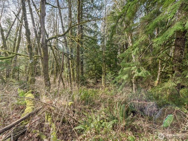 0 W Belfair Valley Road, Bremerton, WA 98312