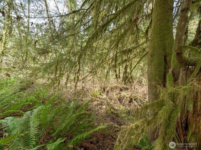 0 W Belfair Valley Road, Bremerton, WA 98312