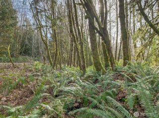 0 W Belfair Valley Road, Bremerton, WA 98312