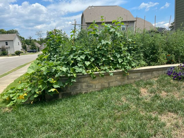 1125 Little Sorrel Rd, Hixson, TN 37343