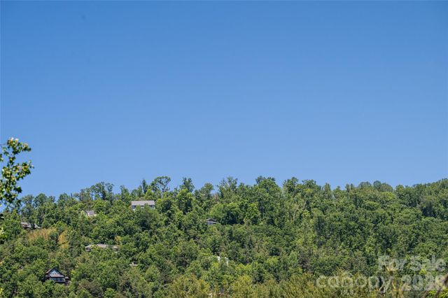 1 Beaverdam Knoll Road, Asheville, NC 28804