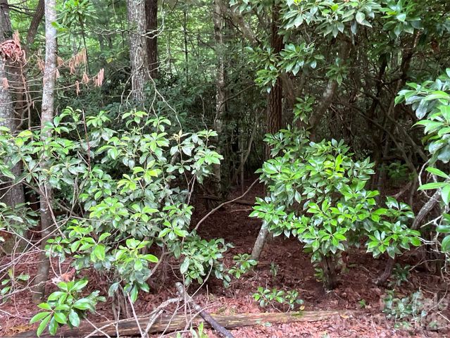 9999 Erwin Hill Drive, Etowah, NC 28792