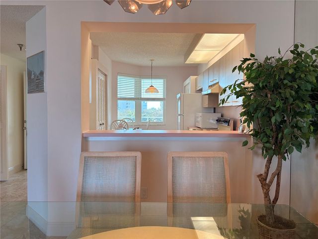 7979 SAILBOAT KEY BOULEVARD S 306, South Pasadena, FL 33707