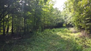 0 Fivel Road, Ridgeville, SC 29472