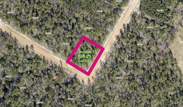 12124 Dawn Tree Lane, Willis, TX 77378