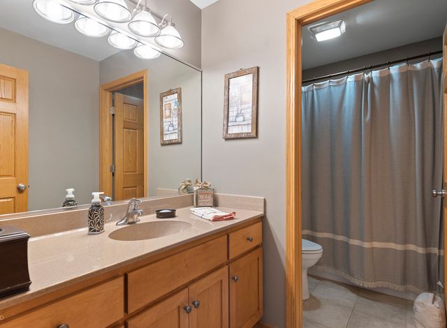 21163 S Wooded Cove Drive, Elwood, IL 60421