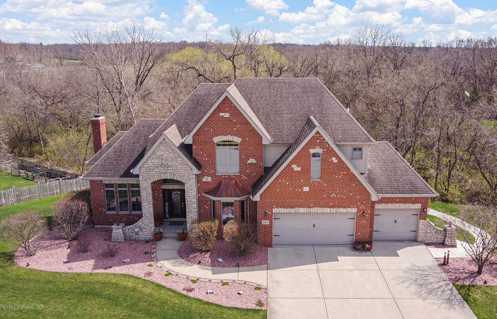21163 S Wooded Cove Drive, Elwood, IL 60421