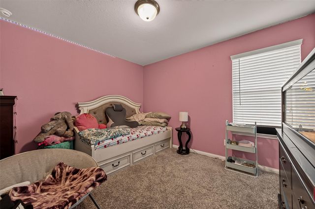919 Modesto Drive, Rosharon, TX 77583