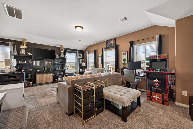 919 Modesto Drive, Rosharon, TX 77583