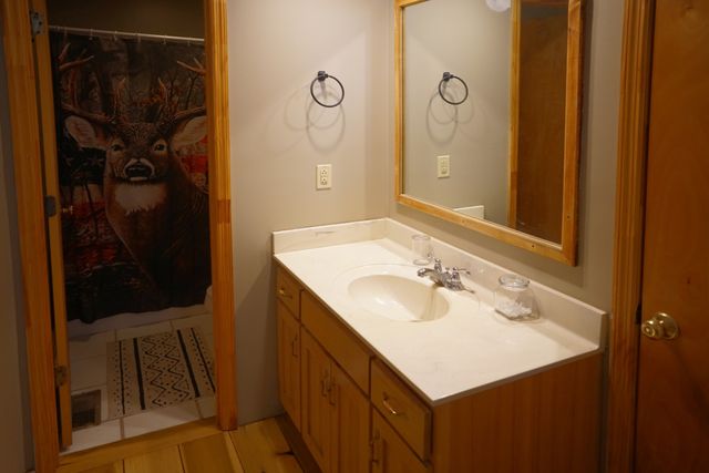 2300 Bear Creek Rd, Vanleer, TN 37181