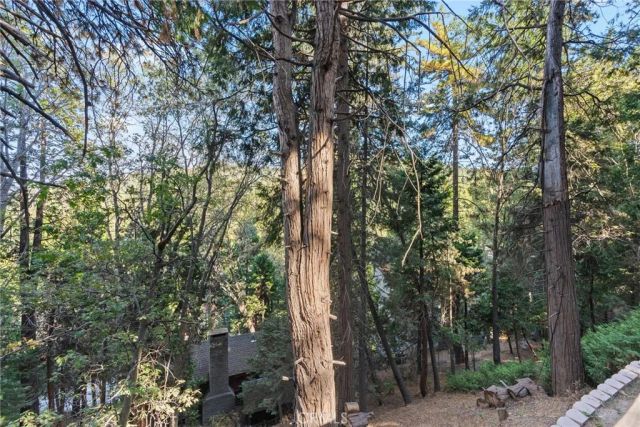 829 Sierra Vista Drive, Twin Peaks, CA 92391