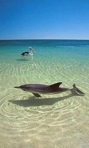 13845 OLD CREEK COURT, Parrish, FL 34219