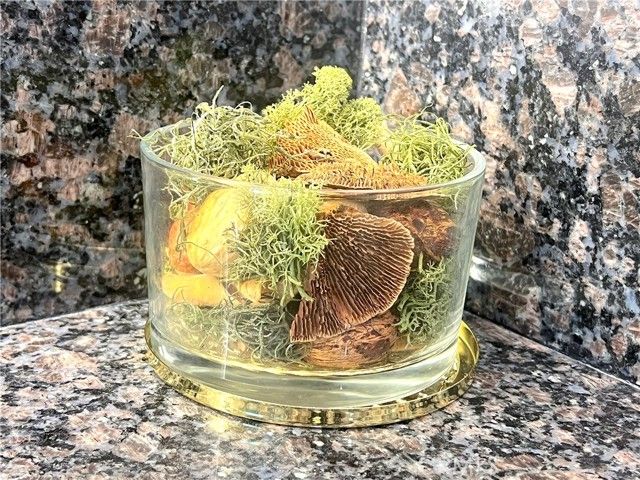 750 Bolsana Drive, Laguna Beach, CA 92651