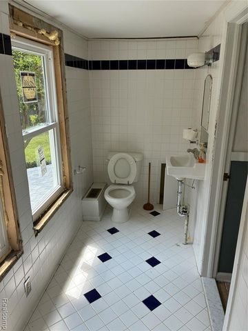5901 Felske Drive, Brighton, MI 48116