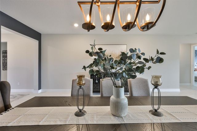 9497 IBIS GROVE BOULEVARD, Wesley Chapel, FL 33545