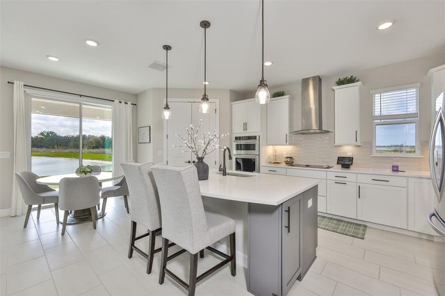 9497 IBIS GROVE BOULEVARD, Wesley Chapel, FL 33545