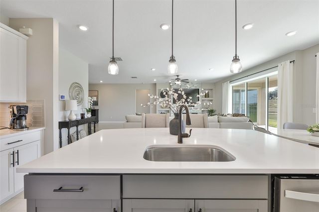 9497 IBIS GROVE BOULEVARD, Wesley Chapel, FL 33545