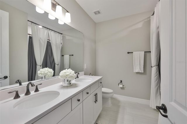 9497 IBIS GROVE BOULEVARD, Wesley Chapel, FL 33545