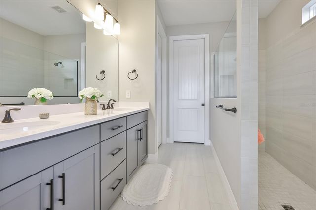 9497 IBIS GROVE BOULEVARD, Wesley Chapel, FL 33545