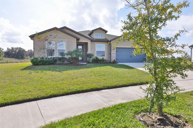 9497 IBIS GROVE BOULEVARD, Wesley Chapel, FL 33545