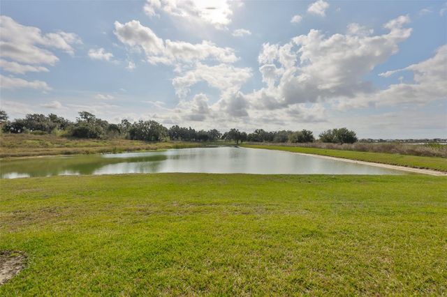 9497 IBIS GROVE BOULEVARD, Wesley Chapel, FL 33545