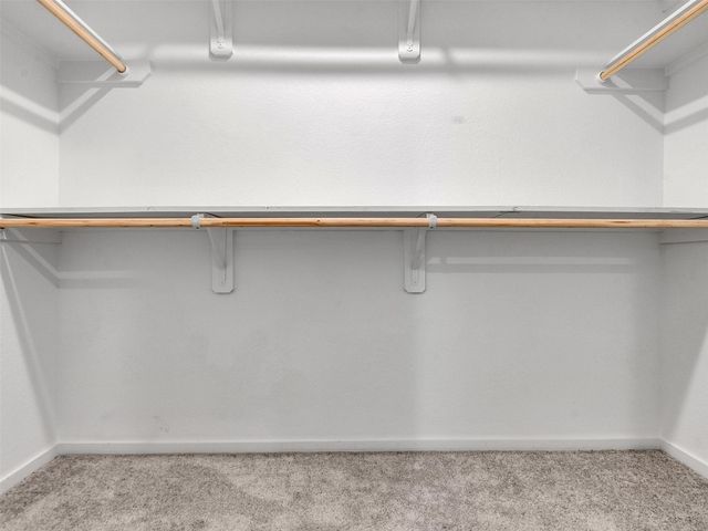 12406 Lady Slipper Road, Houston, TX 77038