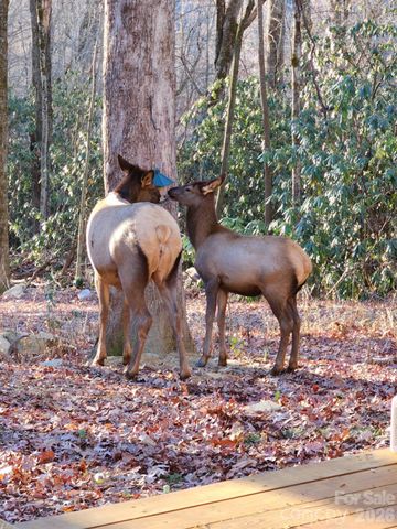 16 Standing Rock Ridge, Maggie Valley, NC 28751