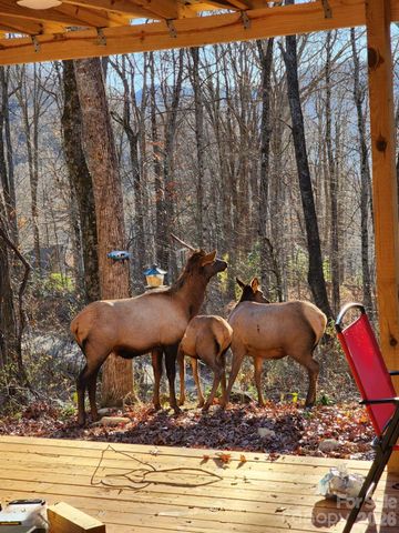 16 Standing Rock Ridge, Maggie Valley, NC 28751