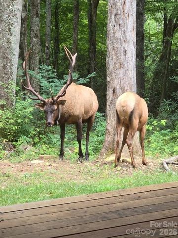 16 Standing Rock Ridge, Maggie Valley, NC 28751