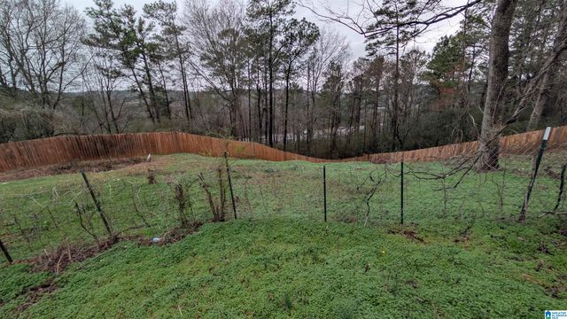 3271 MORGAN ROAD, Helena, AL 35022