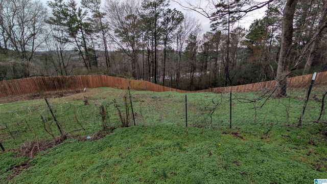 3271 MORGAN ROAD, Helena, AL 35022