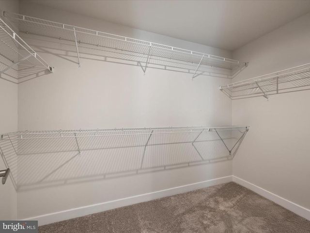 11710 SOUTHVIEW CT, Spotsylvania, VA 22551